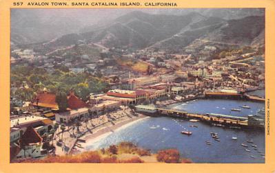 Santa Catalina Island CA