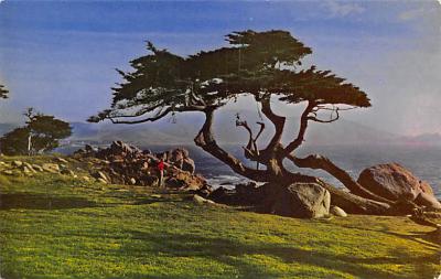 Cypress CA