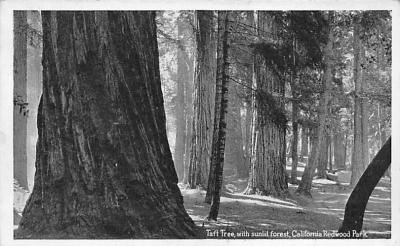 Redwood Park CA