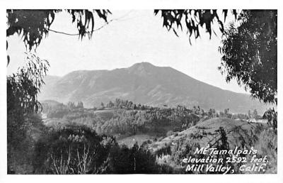 Mill Valley CA