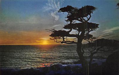 Monterey CA