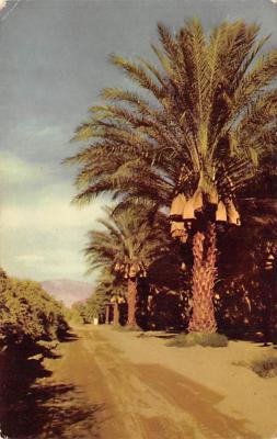 Palm Desert CA