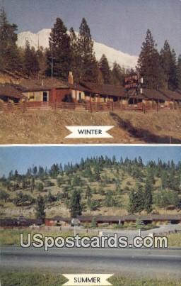 Golden Spur Motel - Weed, California CA Postcard