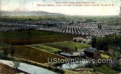 Grand River Valley Fruit District - Denver, Colorado CO Postcard