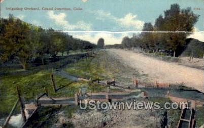 Irrigating Orchard - Grand Junction, Colorado CO Postcard
