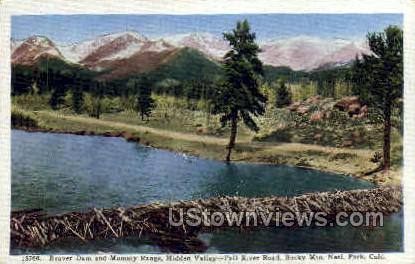 Beaver Dam - Rocky Mountain National Park, Colorado CO Postcard