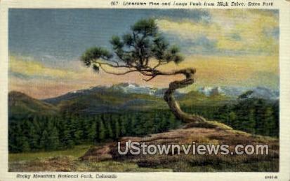 Longs Peak, Estes Park - Rocky Mountain National Park, Colorado CO Postcard