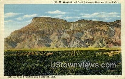Mt Garfield & Fruit Orchards - Grand Junction, Colorado CO Postcard