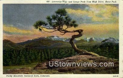 Estes Park - Rocky Mountain National Park, Colorado CO Postcard