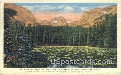 Lily Pads, Snow Waters - Rocky Mountain National Park, Colorado CO Postcard