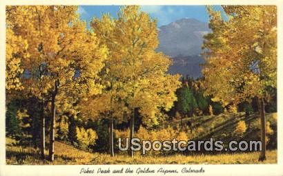 Golden Aspens - Pikes Peak, Colorado CO Postcard