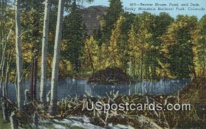 Beaver House,  Pond & Dam - Rocky Mountain National Park, Colorado CO Postcard