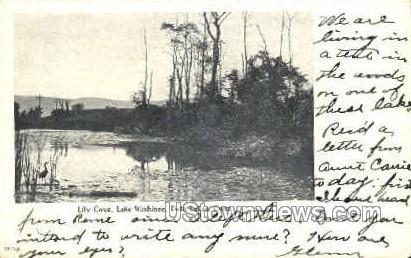 Lake Washining - Twin Lakes, Connecticut CT Postcard
