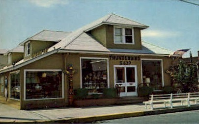 Thunderbird Shop - Rehoboth Beach, Delaware DE Postcard