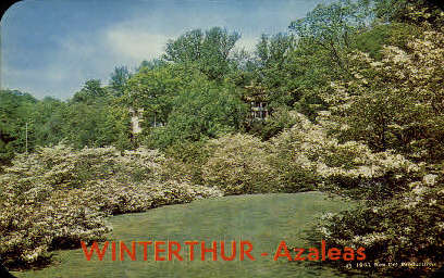 Azaleas - Winterthur, Delaware DE Postcard