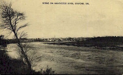 Nanticock River  - Seaford, Delaware DE Postcard
