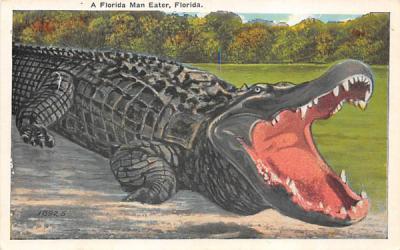 A Florida Man Eater Postcard