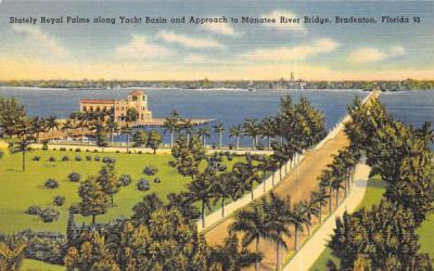 Stately Royal Palms along Yacht Basin Bradenton, Florida Postcard