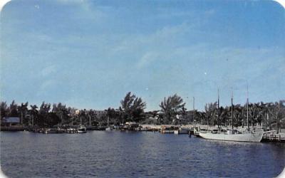 Yacht Basin Bradenton, Florida Postcard