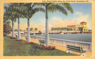 Royal Palms along the Yacht Basin  Bradenton, Florida Postcard