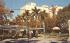 Hotel Dixie Grande & Park Bradenton, Florida Postcard