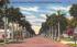 14th St., showing beautiful Royal Palms Bradenton, Florida Postcard