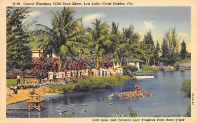 Crowd Watching Wild Duck Show Coral Gables, Florida Postcard