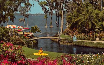 Roses and Bougainvillea  Cypress Gardens, Florida Postcard
