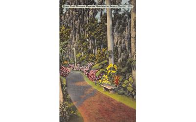 Cypress Gardens in Sunny Florida, USA Postcard