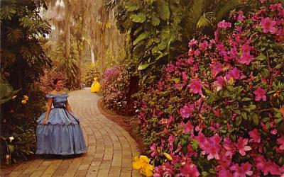 Flowers are Everywhere Cypress Gardens, Florida Postcard