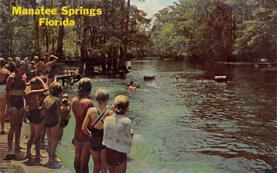 Manatee Springs State Park Chiefland, Florida Postcard