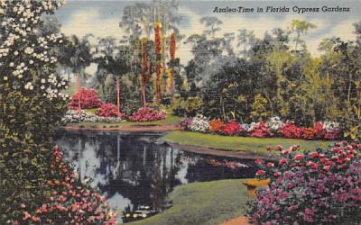 Azalea-Time in Florida Cypress Garden Postcard