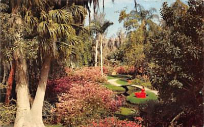Florida's Cypress Garden Postcard