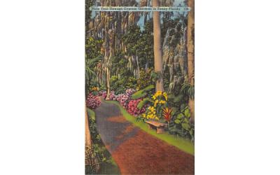 Through Cypress Gardens in Sunny Florida, USA Postcard