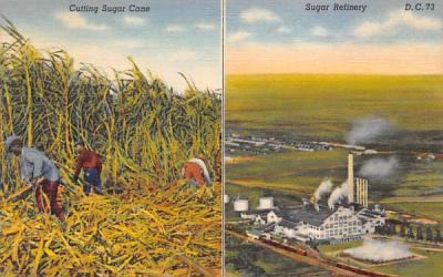 Largest Sugar Cane Mill is located at Clewiston, FL, USA Florida Postcard