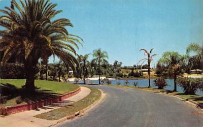 Crystal Lake Drive Florida Postcard