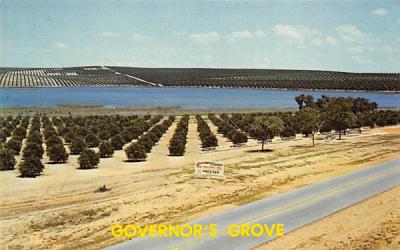 Governor's Grove Clermont, Florida Postcard