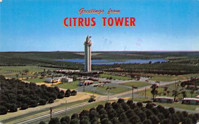 Greetings from Citrus Tower Clermont, Florida Postcard