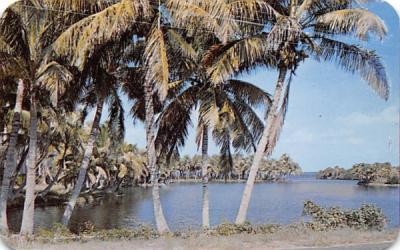 Beautiful South Seas Plantation Captiva Island, Florida Postcard