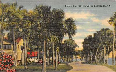 Indian River Drive Cocoa Rockledge, Florida Postcard