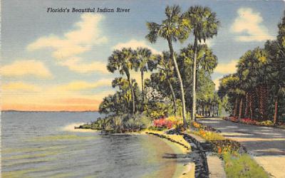 Florida's Beautiful Indian River Postcard