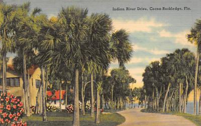 Indian River Drive Cocoa Rockledge, Florida Postcard