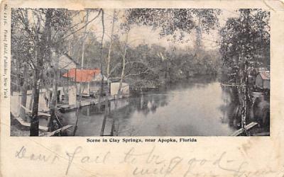 Scene in Clay Springs, Near Apopka, Florida Postcard