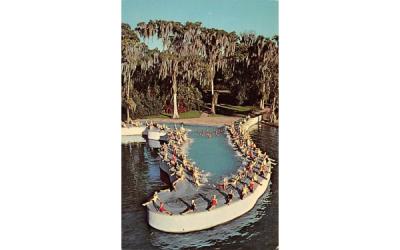 Fabulous Florida's Cypress Garden Postcard