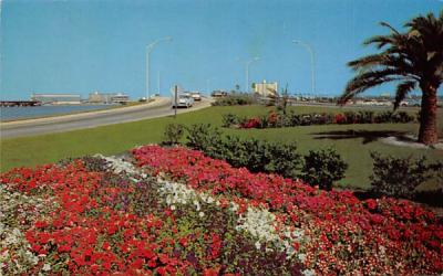 Clearwater Beach, FL, USA Florida Postcard