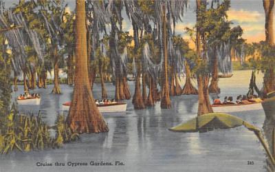 Cruise thru Cypress Gardens, FL, USA Florida Postcard