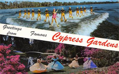 Greetings from Cypress Gardens, FL, USA Florida Postcard