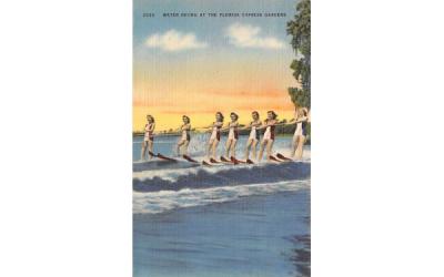 Water Skiing at the Florida Cypress Gardens Postcard