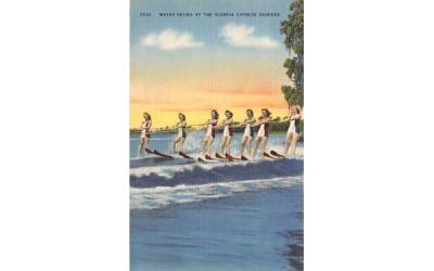 Water Skiing at the Florida Cypress Gardens Postcard