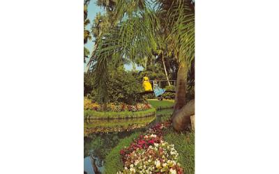 The Beauty of Florida's Cypress Gardens Postcard